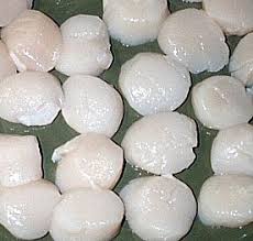 Scallop Facts What Is A Scallop How To Buy Scallops