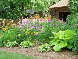 Aadar uite topul meu mai jos zece. Top 10 Plante È™i Flori Care Cresc La UmbrÄƒ In GrÄƒdinÄƒ Sau Pe Balcon Adela Parvu Interior Design Blogger