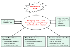 Emergency Call Flowchart Download Scientific Diagram