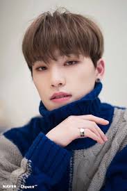 Hi guys, i watched some videos and i saw that seventeen members sometimes call dino bangchan. 190121 Naver X Dispatch Update With Seventeen Dino Tancory Kej Pop Fandom