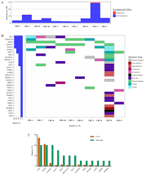 Click on a ribbon to see all the causes represented by that color and all the items offered for each cause. Identification Of Recurrent And Novel Mutations By Whole Genome Sequencing Of Colorectal Tumors From The Han Population In Shanghai Eastern China