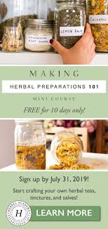 To become an herbalist, you can pursue two training paths: Free Becoming An Herbalist Mini Course Herbal Academy Herbal Recipes Herbalism Diy Skin Care Recipes