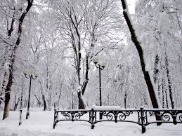 Tumblr Winter Wallpaper Posted By Samantha Sellers