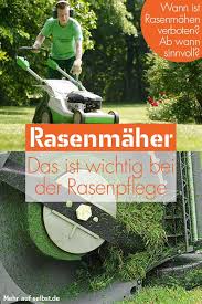 Die party ist gut, finden zumindest die gäste. Pin Auf Rasenpflege