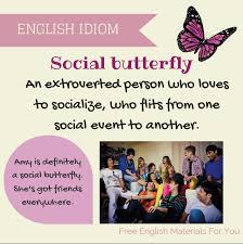 This idiom originates from a fluttery feeling we get in our stomach. Social Butterfly English Idiom Free English Materials For You