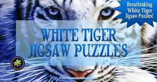 I just love tiger jigsaw puzzles. White Tiger Jigsaw Puzzles Jigsaw Puzzles For Adults