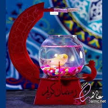 حوض السمك بالصور أسماك الزينة حوض سمك هدية احواض السمك للفلانتين snow globes decor home decor