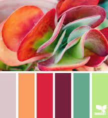 Color Dream Color Schemes Color Combos Colour Schemes