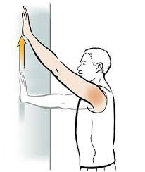 Exercises For Shoulder Flexibility Wall Walk