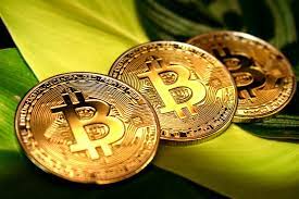 What Has Changed After Bitcoin S First Update In 4 Years Ticker News News For The World Now