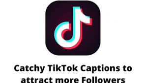 Watch short videos about #matchingbios on tiktok. Best Tiktok Captions And Quotes Ideas For Friendship Version Weekly