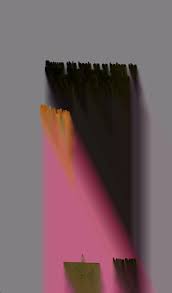 Image result for Sphaeranthus chandleri