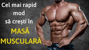 În lumea occidentală, promovată cu sârguință de în acest articol vom analiza 10 alimente care vă sabotează producția de testosteron. Top 5 Alimente Care Cresc Nivelul De Testosteron Bazat Pe Studii Youtube