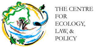 Image result for Tannodia swynnertonii