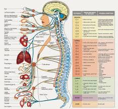 Pin On Nursing