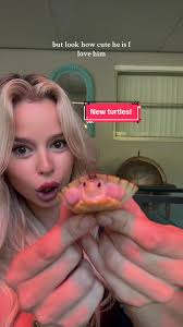 Meet my new turtles (dont mind my nails I was working in the garden)  #homesteading #animals #turtles