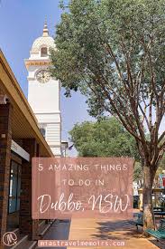 New nationals mp troy grant spent more than two decades in the nsw police before his election in 2011. 5 Amazing Things To Do In Dubbo Nsw Things To Do In Nsw Australia Cool Places To Visit Dubbo Travel