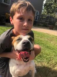 My dogs aren't the best. But they are the worst they're ever gonna be.