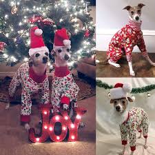 A wide variety of dog christmas pajamas options are available to you, such as material, commercial buyer, and apparel & accessory. Dog Clothing Dog Pajamas Dog Christmas Pajamas Pet Clothing Red Santa Pattern Dog Christmas Clothing Small Dogs Wish