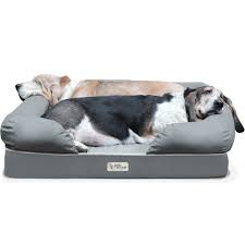 Maybe you would like to learn more about one of these? The Best Dog Beds For Design Lovers 2016 Cozy And Cute Apartment Therapy