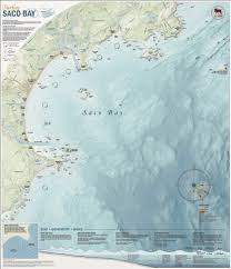 Black Bear Range Map 6 Twitter Map Vector Amazing Maps Map