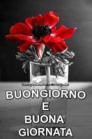 Buongiorno e buona giornata - Il Magico Mondo dei Sogni