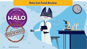 Garlic & chives like onions, garlic and chives can also cause anemia and gastrointestinal problems in cats. Unbiased Halo Cat Food Review 2021 We Re All About Cats