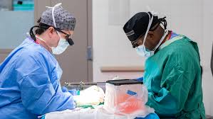 Image result for Transplantation