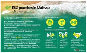 Sustainability is not just about the environment (4), it's. Zooming In On Esg The Star