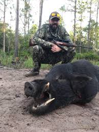 There is an $45 non hunter fee for all non. Florida Hog Hunting Wild Boar Hunts