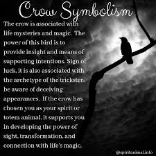 Crow Spirit Animal Meaning Symbolism Crow Spirit Animal Spirit Animal Meaning Animal Totem Spirit Guides