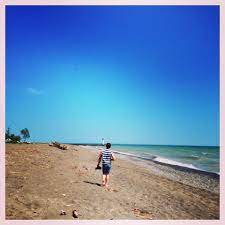 Pin On Summer In Elgin