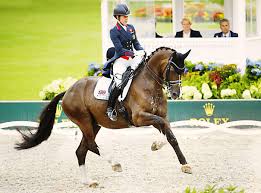 Check spelling or type a new query. M 15 33 D04303b Charlotte Dujardin Gbr Valegro Kwpn Dressage Dressursport Equestrian Disciplins Weg Jacques Toffi Fotograf Photographer