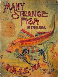 Many Strange Fish Beautiful Book Covers Vintage Book Cover Book Cover Design