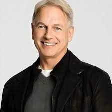 Should the show ncis continue with more seasons?