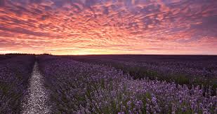 15 Best Nature Wallpapers In 4k And Full Hd For Desktop And Mobile 3840x2400 best hd wallpapers of nature, 4k ultra hd 16:10 desktop backgrounds for pc & mac, laptop, tablet, mobile phone. 15 best nature wallpapers in 4k and