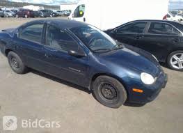 Image result for Patriot Blue 2000 Neon