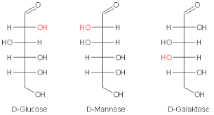Atoms are extremely small, typically around 100 picometers across. Prof Blumes Medienangebot Kohlenhydrate