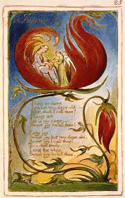 The poetry of william blake is far reaching in its scope and range of experience. Infant Joy A Poem By William Blake With Recording