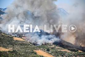 Σύμφωνα με την πυροσβεστική άμεσα κινητοποιήθηκαν 14 πυροσβέστες με 6 οχήματα. Fwtia Shmera Pyrkagia Se Dasikh Ektash Sthn Wlenh Toy Pyrgoy Hleias Dyo Pyrkagies Sthn Kefalonia Ellada Thepressroom Gr