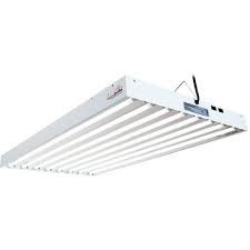 Whether you live in an apartment with no yard or you simply haven't had luck with your plants outside, you can still grow plants using the multitude of grow lights for sale on ebay. Tfgpqgmqde4mm
