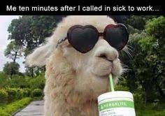 Www Bcheekyapp Com Funny Thoughts Work Humor Bones Funny