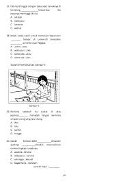 Latihan membina ayat.sesuai untuk tahap 1. Contoh Bina Ayat Cermin Sisi Cermitok Cute766