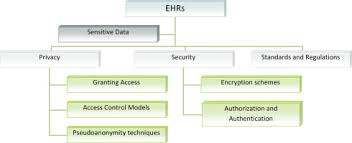 security and privacy in electronic health records a