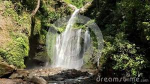 Pemandangan air terjun sendang gile. Air Terjun Tiu Kelep Waterfall Senaru Lombok Indonesia Upward View Of A Beautiful Waterfall With Water Coming Down Stock Footage Video Of Leaf Cascade 199536074