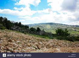 The municipality comptroller, and delegated to handle complaints. Natur Und Landschaft Rund Um Jerusalem In Israel Landschaft Und Natur An Der Weissen Tal In Der Nahe Von Jerusalem Ein Teil Der Israelischen Nationalen Trek Stockfotografie Alamy