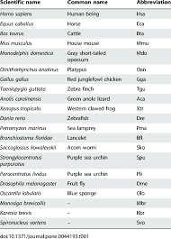 Amino Acid Chart 3 Letter Code Www Bedowntowndaytona Com