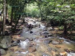 Hutan rekreasi sungai udang) is a forest in sungai udang, malacca, malaysia. Tripadvisor Sungai Tua Recreational Forest ØµÙˆØ±Ø© Sungai Tua Recreational Forest Ø³Ù„Ø§Ù†Ø¬ÙˆØ±