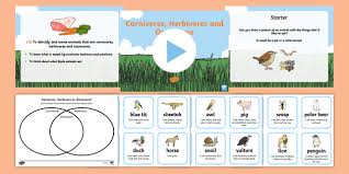 Identifying Herbivores Carnivores And Omnivores