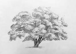Maybe you would like to learn more about one of these? 14 Exhilarating Pencil Drawing Supplies Techniques Ideas Trees Drawing Tutorial Tree Drawing Landscape Drawings